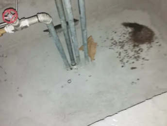 宜良卫生间测漏水价格明细