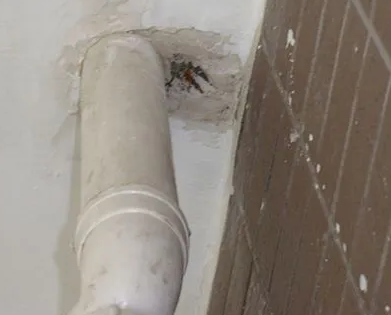 宜良漏水检测哪家好